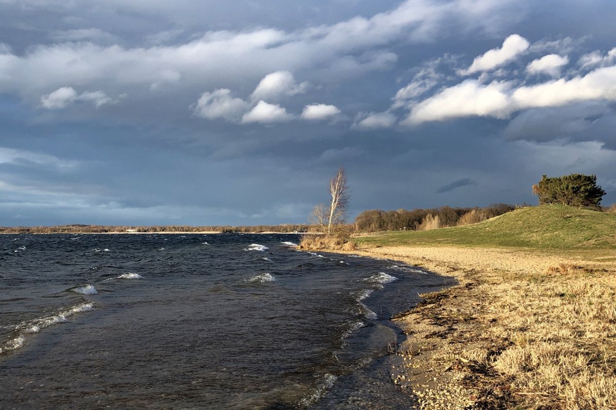 Photo: Manu Steinbach